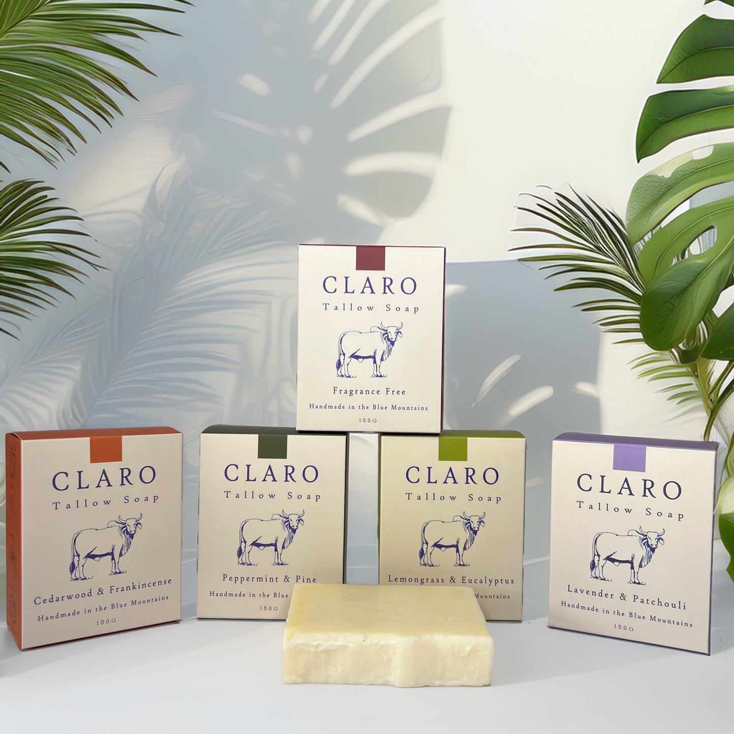 Five boxes of Claro Tallow Soap in various scents—Cedarwood & Frankincense, Peppermint & Pine, Lemongrass & Eucalyptus, Lavender & Patchouli, and Fragrance Free—arranged with a bare soap bar in front, set against a light background with green palm leaves casting shadows